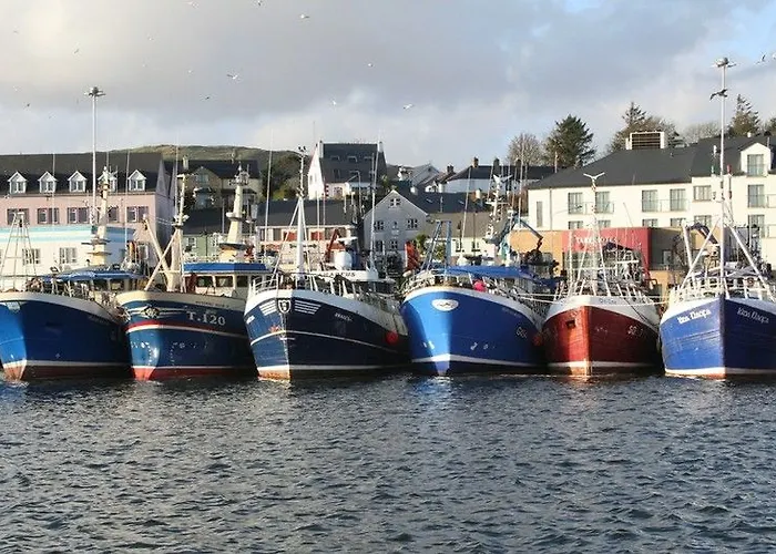 海风住宿加早餐旅馆 住宿加早餐酒店
